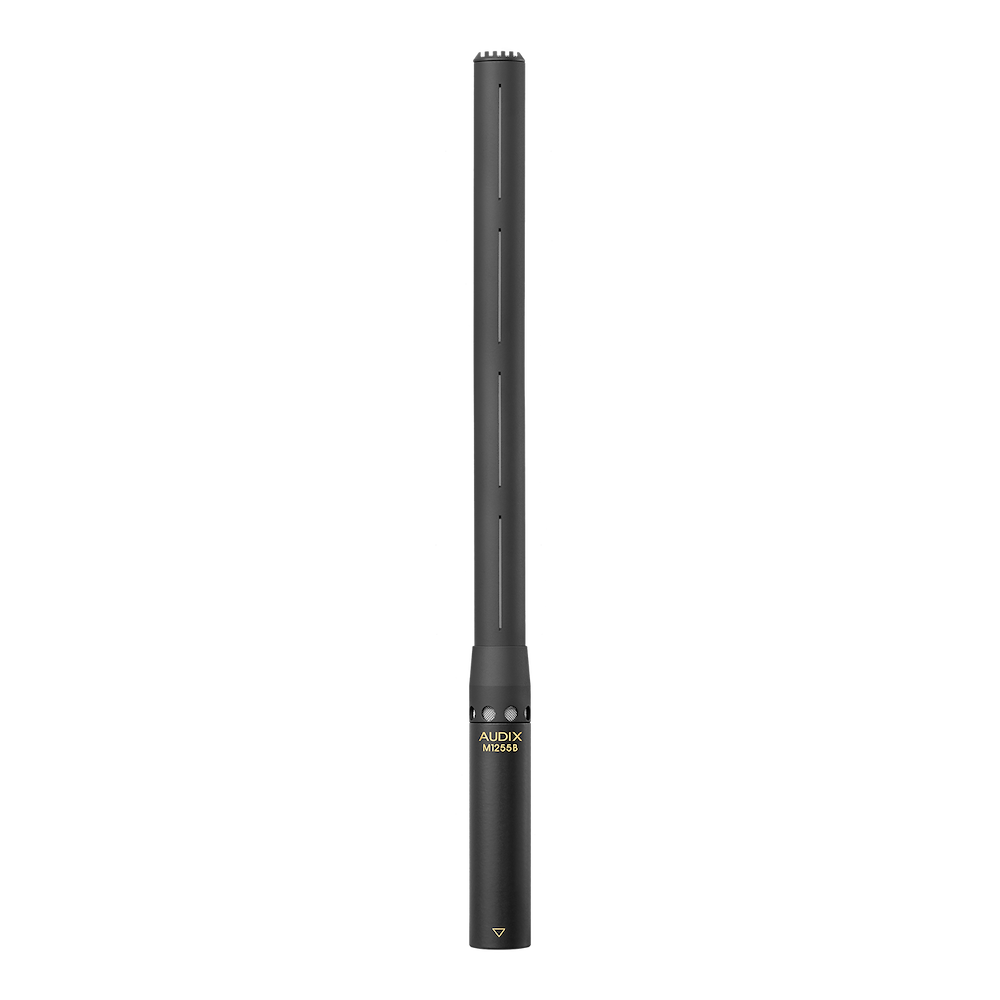 Audix M1255BS Mini Shotgun Microphone for Distance Miking – The I.T ...